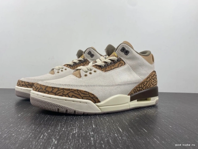 Palomino 3 Air CT8532-102 Jordan 0706